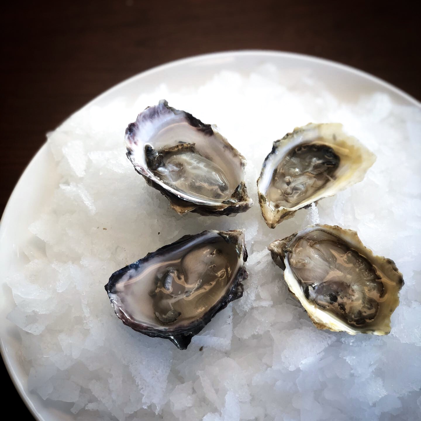 Voluntary Recall, Pacific Oysters